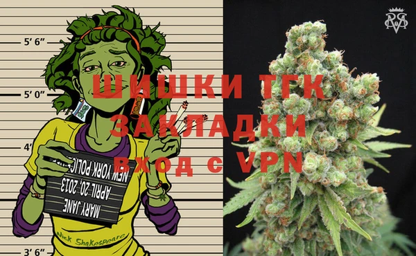 МДПВ Новозыбков
